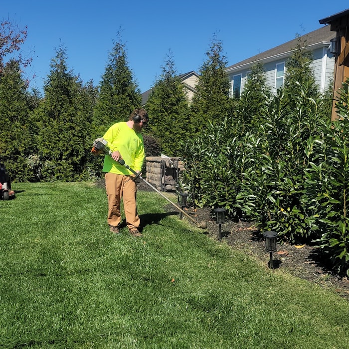 Landscaping and gardening trade in Wales
